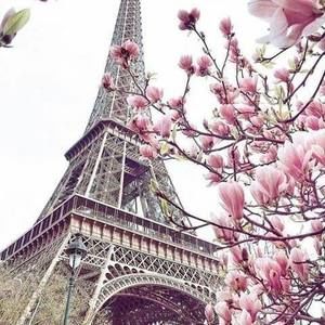 Meet your Posher, Diana